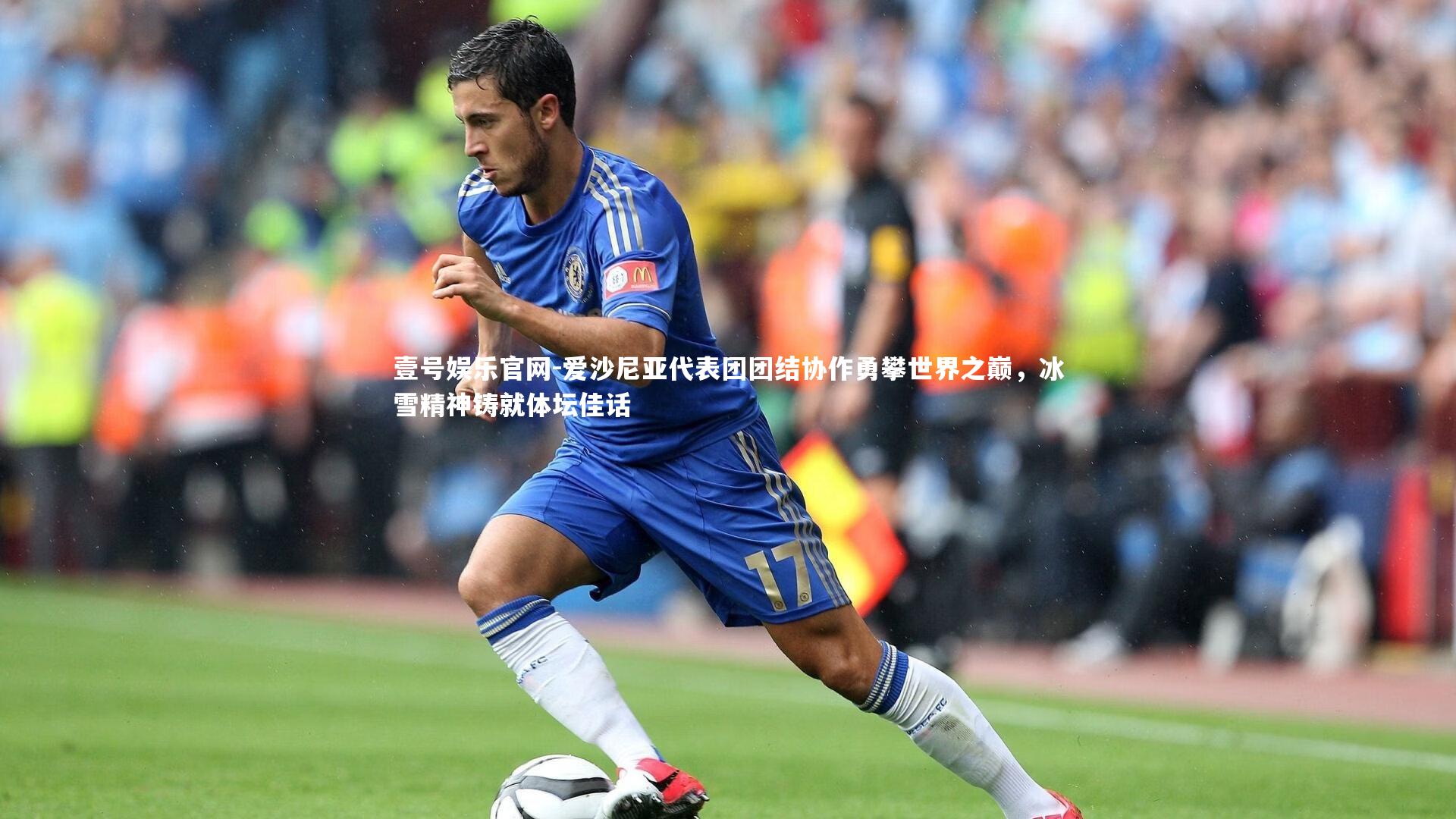 爱沙尼亚代表团团结协作勇攀世界之巅，冰雪精神铸就体坛佳话