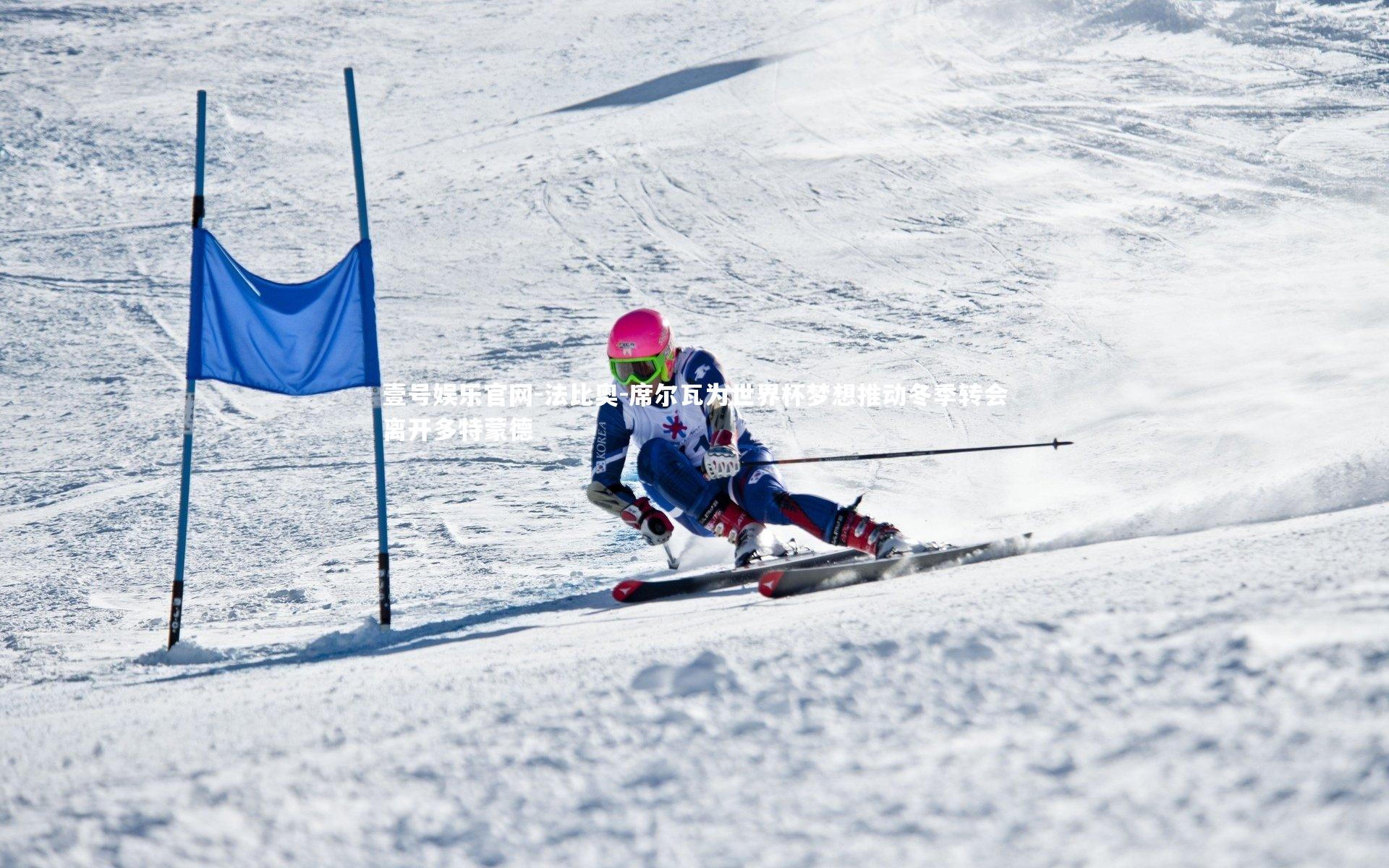 法比奥-席尔瓦为世界杯梦想推动冬季转会离开多特蒙德